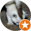 Violaine Le F. profile picture