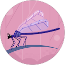 Liemo profile picture